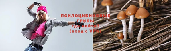 jwh Абаза