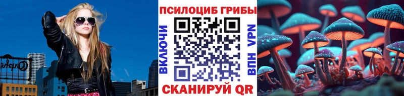Псилоцибиновые грибы Cubensis Заринск